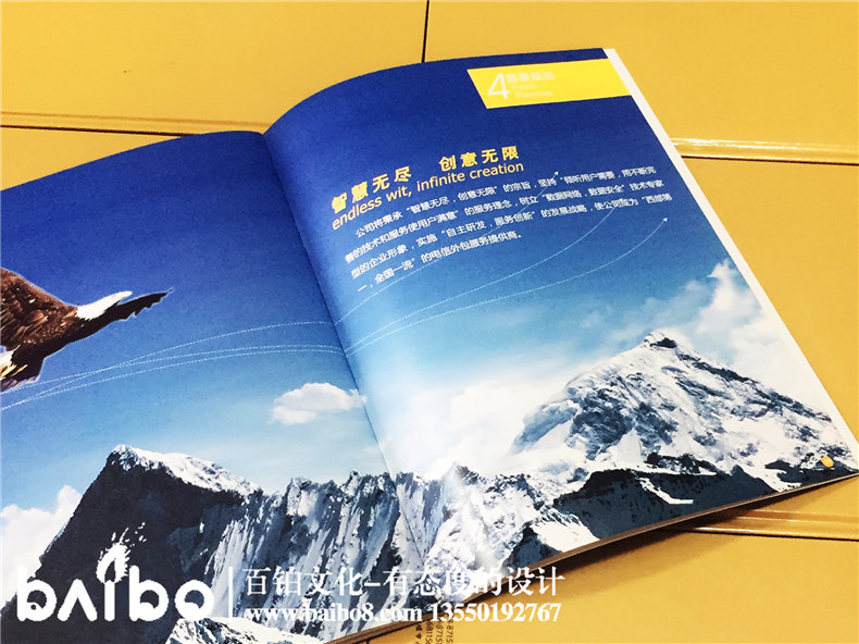 高新信息技術(shù)企業(yè)宣傳畫(huà)冊設計制作-公司畫(huà)冊印刷