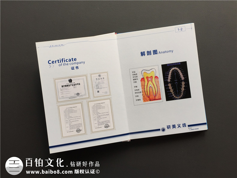加工生產(chǎn)義齒的廠(chǎng)家宣傳手冊定制-企業(yè)畫(huà)冊設計