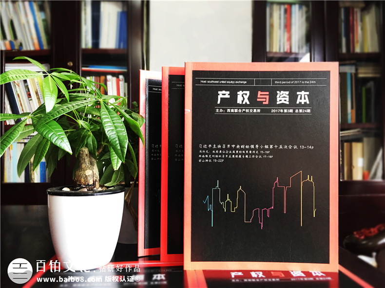 《產(chǎn)權與資本》企業(yè)內刊設計-公司形象畫(huà)冊