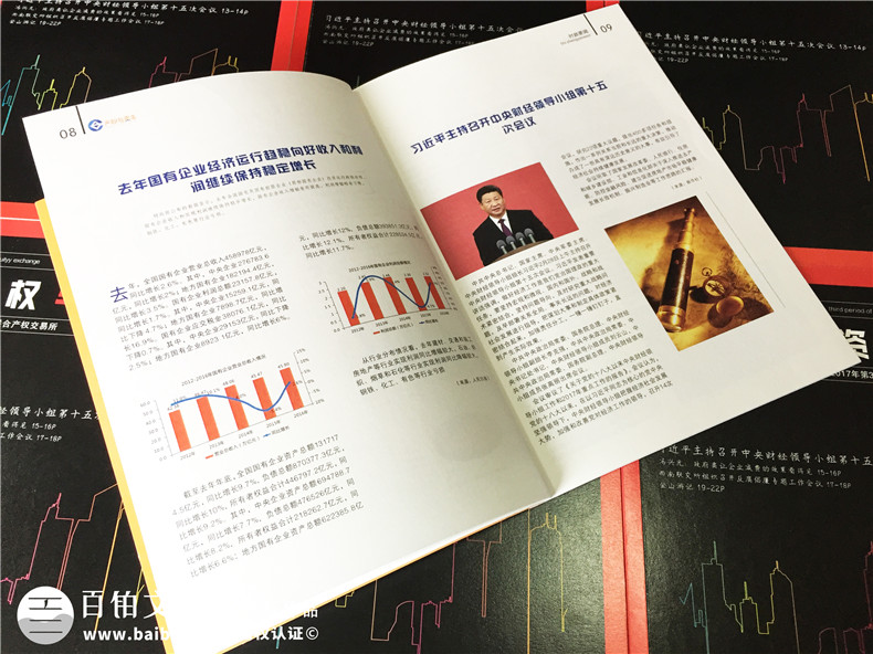 《產(chǎn)權與資本》企業(yè)內刊設計-公司形象畫(huà)冊