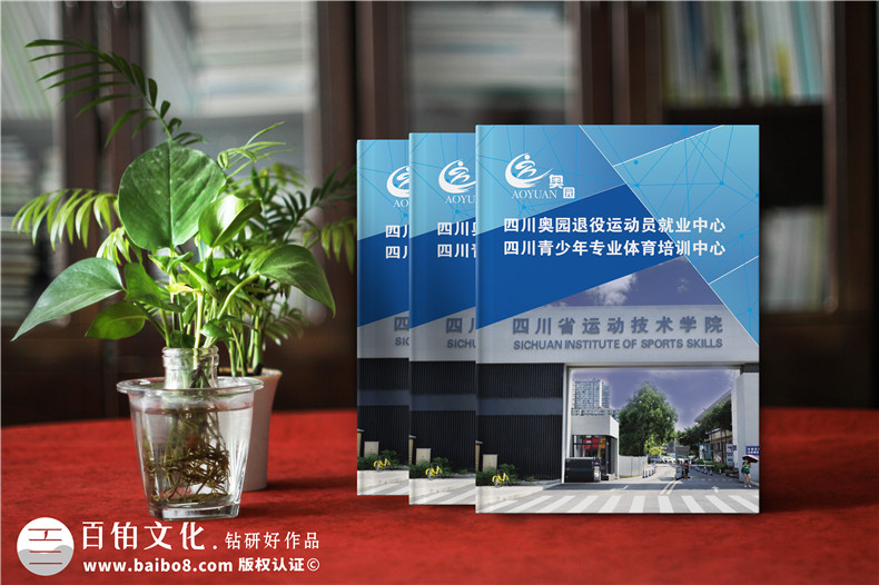 學(xué)校招生簡(jiǎn)章宣傳冊設計-畫(huà)冊設計制作
