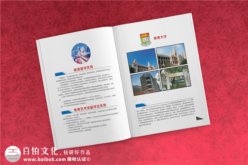 學(xué)校招生簡(jiǎn)章宣傳冊設計-畫(huà)冊設計制作