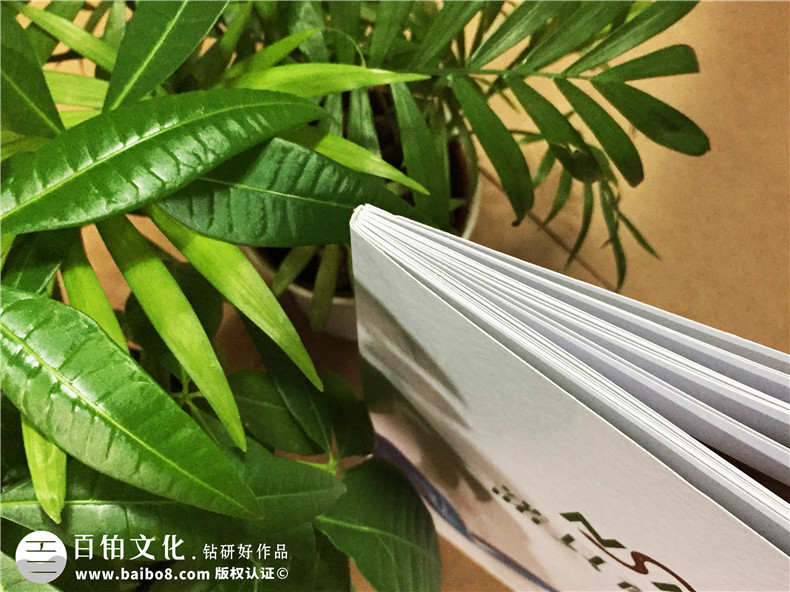 整體衛浴家具畫(huà)冊設計-全屋定制家具圖冊制作印