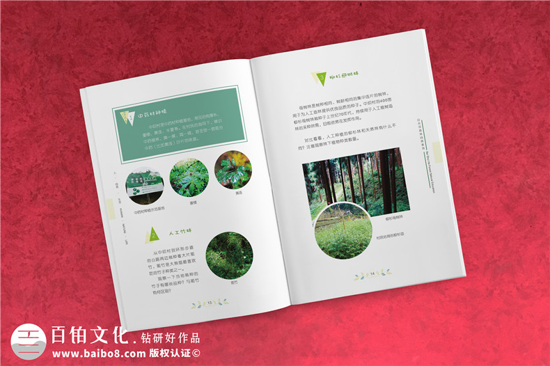 民宿宣傳冊,一張提高民宿訂單率的營(yíng)銷(xiāo)名片