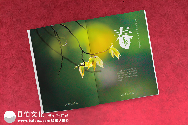景點(diǎn)宣傳手冊設計需要突出的的內容 有哪些板塊？