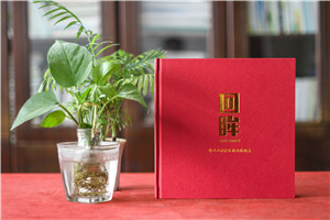 領(lǐng)導視察工作參觀(guān)影集相冊制作-黨政領(lǐng)導出訪(fǎng)調研活動(dòng)紀念畫(huà)冊設計
