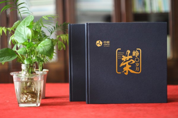 公司領(lǐng)導卸任離崗紀念相冊模板-看精美高檔的影集案例學(xué)怎么排版?