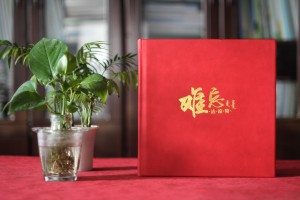 黨委書(shū)記調任紀念畫(huà)冊-給單位領(lǐng)導干部的升遷離任工作紀實(shí)留念相冊