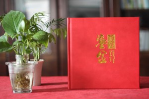 人社局長(cháng)退休離任紀念相冊-領(lǐng)導干部任職期間工作回憶畫(huà)冊