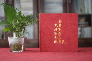 市區委書(shū)記升職紀念冊-為廳局領(lǐng)導干部離任制作工作掠影回憶相冊