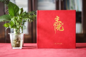 縣委政府書(shū)記領(lǐng)導主政接管紀念冊-老干部榮譽(yù)退休制作個(gè)人工作圖冊