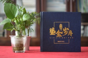 法院領(lǐng)導調離紀念冊設計-檢察院紀委書(shū)記在職期間工作業(yè)績(jì)回顧畫(huà)冊