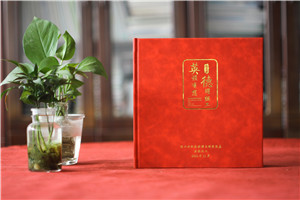 領(lǐng)導工作影集-辦公室主任退休相冊設計-組工領(lǐng)導個(gè)人畫(huà)冊