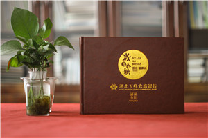 農商銀行總經(jīng)理入職一周年員工送紀念冊-領(lǐng)導懷念相冊