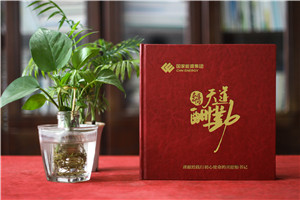 老領(lǐng)導工作的地方個(gè)人工作紀實(shí)畫(huà)冊設計-制作企業(yè)領(lǐng)導相冊集錦