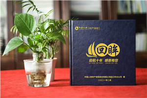 保險公司領(lǐng)導調離影集設計-總經(jīng)理十年工作總結回憶錄紀念冊