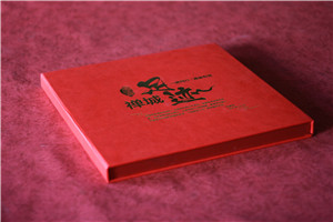 國家電網(wǎng)公司領(lǐng)導榮休紀念冊-高檔供電局領(lǐng)導退休相冊設計