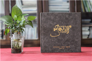 體制內機關(guān)領(lǐng)導退休離任相冊-書(shū)記工作紀實(shí)影集