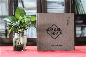 人大領(lǐng)導退休紀念畫(huà)冊-人大主任退休回憶錄相冊制作