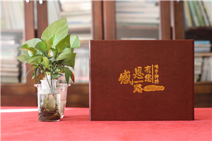 街道辦公室主任升職紀念冊-街道黨工委書(shū)記的工作畫(huà)冊設計