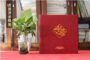 黨支部書(shū)記畫(huà)冊-黨政書(shū)記離退休工作記錄相冊