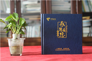 工作畫(huà)冊怎么做-中國電信領(lǐng)導更換部門(mén)相冊