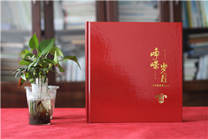 黨委書(shū)記工作十年退休紀念冊-南航領(lǐng)導或員工退休相冊樣式