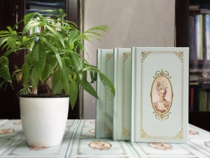 親子相冊-寶貝成長(cháng)記錄冊-歐美風(fēng)情英文小書(shū)