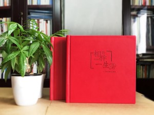結婚周年紀念冊定制-相愛(ài)二十年相冊