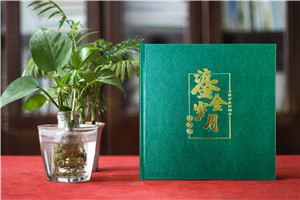 領(lǐng)導工作照片集-記錄國企領(lǐng)導職業(yè)生涯紀念冊