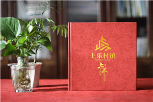 珍藏記憶，感恩同行——鎮領(lǐng)導調任紀念冊