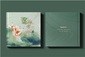 送女領(lǐng)導退休紀念冊怎么做-領(lǐng)導宣傳畫(huà)冊設計