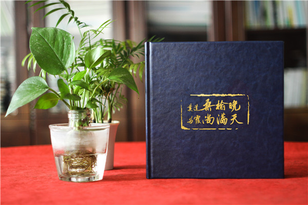 光影見(jiàn)證，前程似錦-銀行領(lǐng)導高升工作留影集設計定制