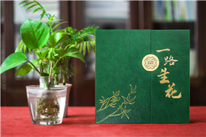 【高端定制?領(lǐng)袖印記】精裝領(lǐng)導紀念冊 —— 鐫刻時(shí)光，鑄就榮耀