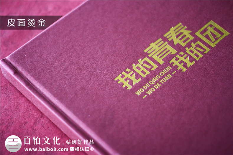 共青團委領(lǐng)導調走紀念相冊-黨委系統送別黨員影集照片書(shū)冊禮品定制