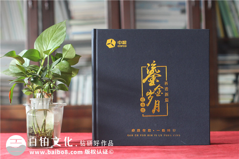 領(lǐng)導工作相冊設計-重溫工作美好喚起團隊奮斗回憶