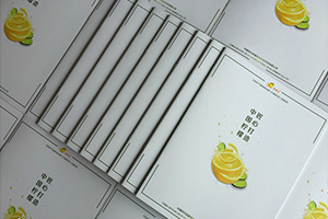 公司宣傳彩頁(yè)制作 怎么提升企業(yè)彩頁(yè)設計水平？