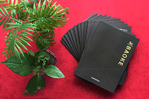 成都畫(huà)冊設計公司 具有專(zhuān)業(yè)的畫(huà)冊創(chuàng  )意設計方向！