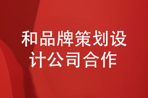 企業(yè)品牌策劃和設計-和專(zhuān)業(yè)的品牌設計公司建立合作關(guān)系