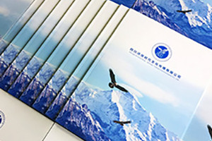 企業(yè)畫(huà)冊設計思路、理念有哪些重要的設計原則？