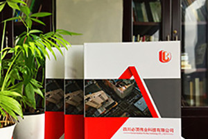 個(gè)性畫(huà)冊定制設計印刷 畫(huà)冊創(chuàng  )意設計有方法！