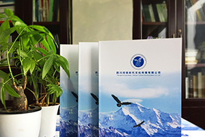 企業(yè)宣傳冊設計的兩大設計方向 找到企業(yè)宣傳冊設計的正確方法！