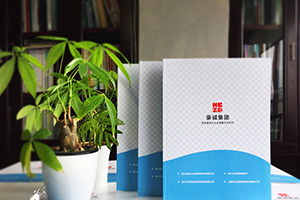 企業(yè)畫(huà)冊設計怎么做？畫(huà)冊制作的通用方法思考
