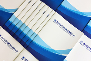 倉儲業(yè)、郵政業(yè)的企業(yè)畫(huà)冊設計特點(diǎn) 為制作優(yōu)秀的倉儲運輸企業(yè)畫(huà)冊