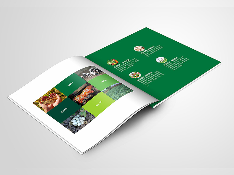 農產(chǎn)品加工企業(yè)畫(huà)冊設計的內容
