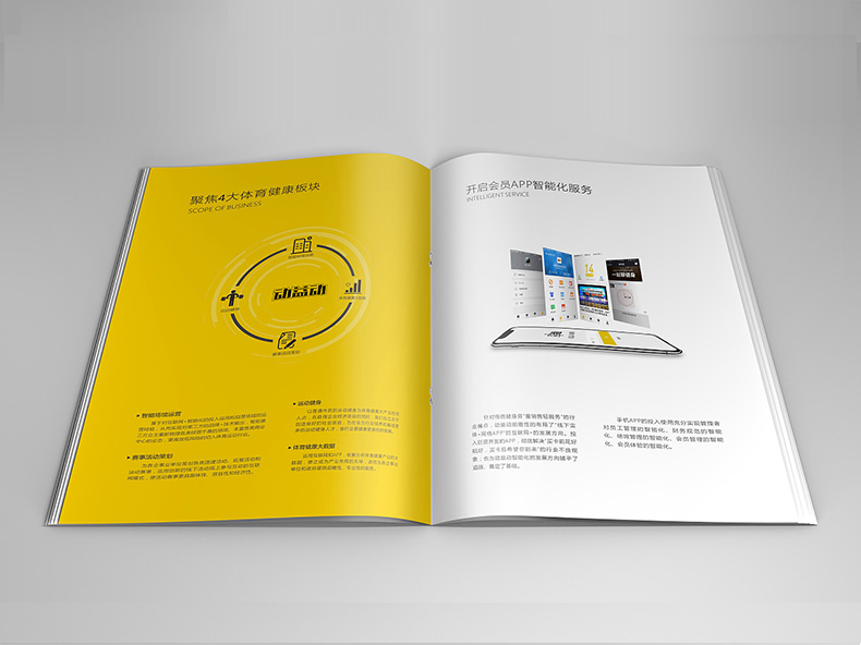 體育用品公司畫(huà)冊設計 體育器材公司畫(huà)冊設計的理念！