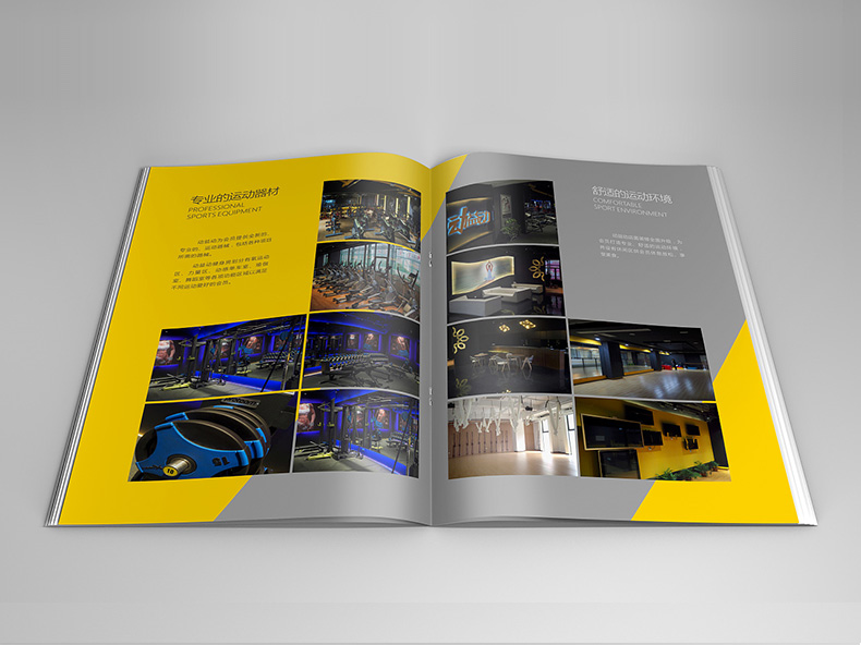 體育用品公司畫(huà)冊設計 體育器材公司畫(huà)冊設計的理念！