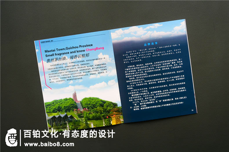 政府畫(huà)冊怎么設計
