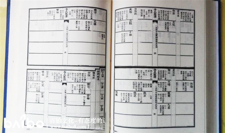 家譜設計的內容