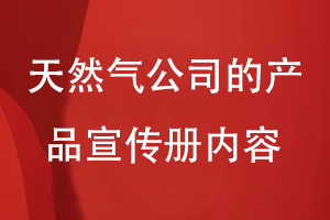 天然氣公司的產(chǎn)品宣傳冊?xún)热?/><span id=